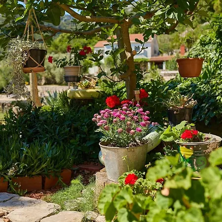 Dolores-apartment By The Sea Maranovići